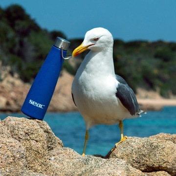 Термос термобутылка теплый холодный SEAC белый