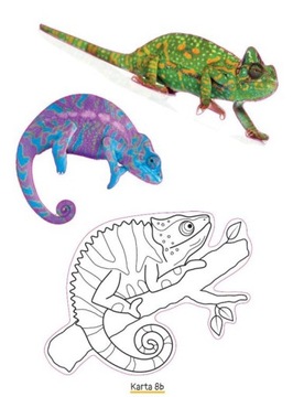 Fun Time Poziom B B+ Wypr. Plastyczno-techniczna