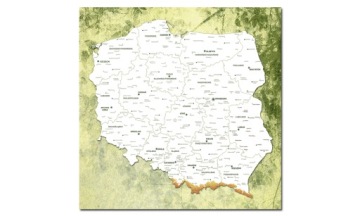 CORK BOARD POLAND Изображение карты 100х100см Польша