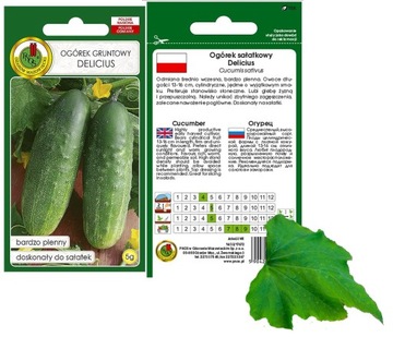 Nasiona OGÓREK gruntowy 5g Delicius średnio wczesny bardzo plenny do sałate