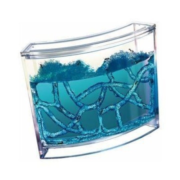 Обучающий гелевый аквариум для муравьев.