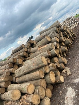 DREWNO KOMINKOWE MIX BRZOZA OLCHA SOSNA 10 KG
