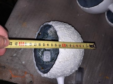 БОЛЬШОЙ ПУЗЫРЬ-НИЧА, СВЕТЯЩИЙСЯ, РОЖДЕСТВЕНСКИЕ ПРАЗДНИКИ