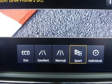 Seat Leon III X-Perience 2.0 TDI CR 184KM 2018 Seat Leon X-PERIENCE*FR 2.0 TDI 184Ps*AUTOMAT*4, zdjęcie 23