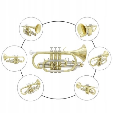 Духовой инструмент Bb Flat Cornet с перчатками в футляре