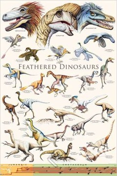 Dinozaury plakat na ścianę dla dziecka 61x91,5 cm