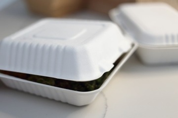 Jednorazowy trzykomorowy menubox na lunch obiad| trzcina cukrowa | 50 szt.