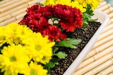 КЕРАМИЧЕСКИЙ LCA Gardening Liapor Fine 50л