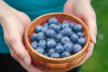 Черника 50г сублимированная HiFOOD WHOLE