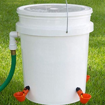 5 . для голубей для птиц для птицы для курицы