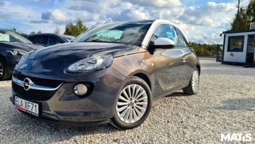 Opel Adam Hatchback 1.4 87KM 2014 Opel Adam 1.4Benz manual climatronic szyberdach el szyby 100 bezwypadek, zdjęcie 20