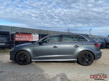 Audi A3 8V Cabriolet 1.6 TDI clean diesel 110KM 2014 Audi A3 Sportback 1.6 tdi 110 KM xenon ledy Navi kamera 5 drzwi serwis 1, zdjęcie 10