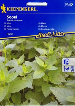 Kiepenkerl nasiona mięta Seoul