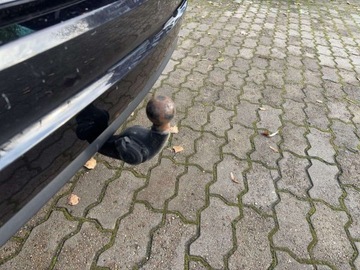 Volkswagen Sharan II Van Facelifting 2.0 TSI 220KM 2018 Volkswagen Sharan TSI 220KM Highline DSG BlindSpot AppConnect 7os. Ke, zdjęcie 26