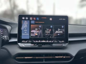 Cupra Terramar SUV 2.0 TSI 265KM 2025 Cupra Terramar 2.0 TSI 4Drive VZ DSG, zdjęcie 23