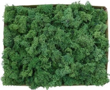 Обрезки мха Forest Green, Картон 600г.