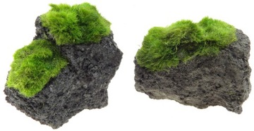 УКРАШЕНИЯ НА ВУЛКАНИЧЕСКОЙ ЛАВЕ УКРАШЕНИЕ АКВАРИУМА