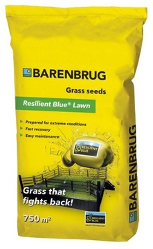 Trawa nasiona Barenbrug Resilient Blue 15kg uniwersalna sportowa ROZŁOGOWA