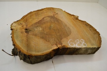 Кусочек каштана после сушки в помещении 58х48 см Поднос для доски