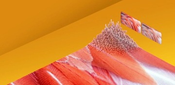 Смарт-телевизор Hisense 55A6K 55 дюймов 4K UHD со светодиодной подсветкой