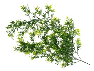 ИСКУССТВЕННЫЙ РУСКУС ВЫСОКОЕ РАСТЕНИЕ 77 СМ ГУСТЫЕ РАСТЕНИЯ ДЛЯ ЗЕЛЕНЫХ СТЕН XXL