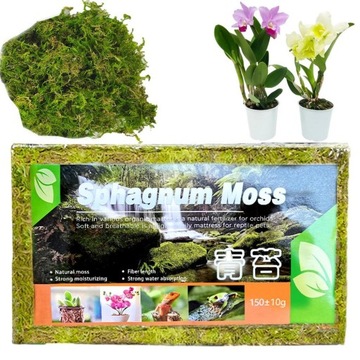 Sphagnum moss Mech Torfowiec 150 gram / 12litrów wystrój terrarium storczyk