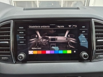 Skoda Karoq Crossover Facelifting 1.5 TSI ACT 150KM 2026 Skoda Karoq SPORTLINE 1.5 TSI DSG z placu 150 KM, zdjęcie 28