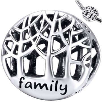 CHARMS FAMILY srebro 925 koralik S925 zawieszka