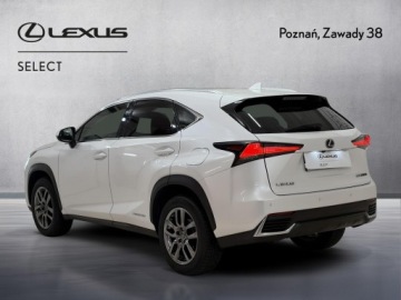 Lexus NX I SUV 300h 197KM 2017 Lexus NX 300h Comfort AWD I (2014-2021) Lexus NX 3, zdjęcie 8