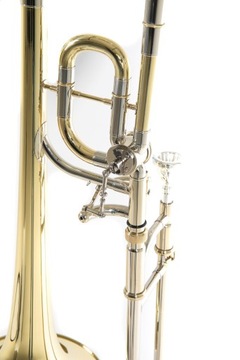 ROY BENSON TT-220 Детский тромбон Bb/C