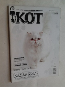 KOT nr 4(32)2008 Magazyn dla milosnikow kotow