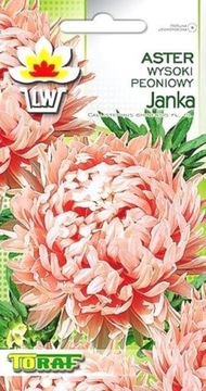 Nasiona Aster peoniowy wysoki Janka Nasiona 1g