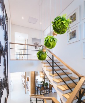 Декоративный шар из мха кокедама Moss Ball 35 см