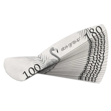 Aba Group Pilnik Łódka 100/180 Standard 100 szt