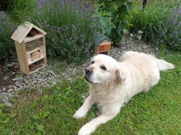 2x домик для насекомых, каменщик, пчелиный скворечник, МЕГА БОЛЬШОЙ, до 47 см! ЭКО