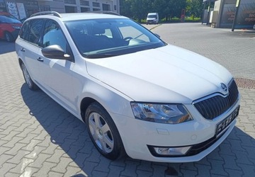 Skoda Octavia III Kombi 1.6 TDI 110KM 2016 Skoda Octavia Skoda Octavia 1.6 TDI (Green tec) 4x4 Joy 1.6 Diesel 110KM, zdjęcie 7