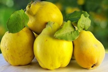 Ароматическое масло Natural Aromas Пачули - 12 мл