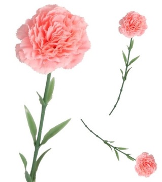 SZTUCZNE KWIATY ROŚLINY GOŹDZIK POJEDYNCZY GOŹDZIKI