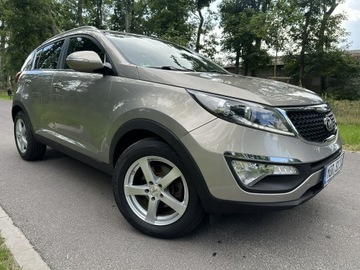 Kia Sportage III SUV Facelifting 1.6 GDI 135KM 2014 Kia Sportage III 1,6 GDI 136 KM Business LineSuper, zdjęcie 12