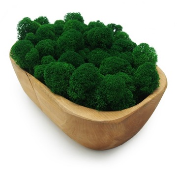 Финский мох 500г нетто, средний зеленый