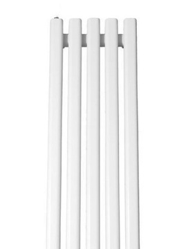 REGNIS LAZUR grzejnik dekor pion 160x54cm biały