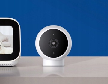 Домашний разведывательный мониторинг