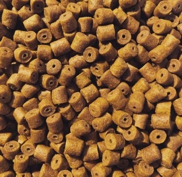 PELLET ZANĘTOWY ORZECH TYGRYSI 18mm 1kg