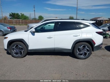 Hyundai 2024 Hyundai Tucson 2024 Hyundai Tucson Plug-In Hybrid Limited AWD 1.6 Benzyna, zdjęcie 12