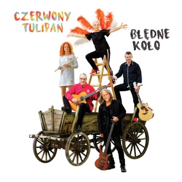 Błędne koło CD (MTJ)