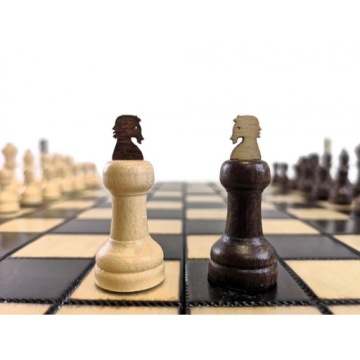 УНИКАЛЬНЫЕ ШАХМАТЫ 100 фигур - Шахматы Капабланки