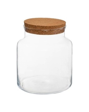 Хорошая банка с пробковой крышкой. Лес в банке.