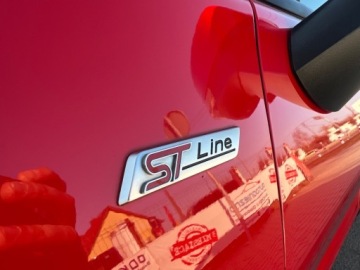 Ford Puma II Crossover 1.0 EcoBoost mHEV 155KM 2021 Ford Puma HYBRYDA NAWIGACJA GRZANA KIEROWNICA GRZANA SZYBA PARK ASSIST AKT, zdjęcie 17