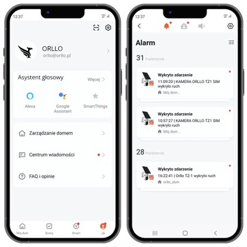 2x SIM-камера ORLLO TZ-1 PRO ДЛЯ Участка 4G LTE + ПАНЕЛЬ