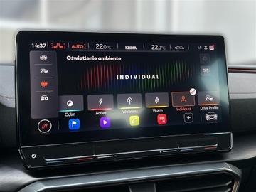 Cupra Formentor Crossover 2.0 TSI 310KM 2022 Cupra Formentor 2.0TSI 310KM 4Drive VZ DSG l Beats, zdjęcie 27